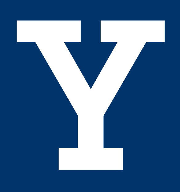 Yale Bulldogs 0-Pres Alternate Logo v2 DIY iron on transfer (heat transfer)